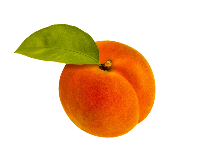 Peach Pit